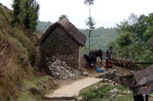 Een hutje met vee vlak bij Sundarijal.