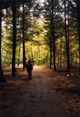 Prachtige herfstkleuren in Drente (oktober 1998)
