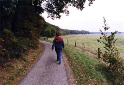 Foto van een smalle weg, links bos, rechts weilanden.